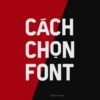 Học phần 1: Học về Typography