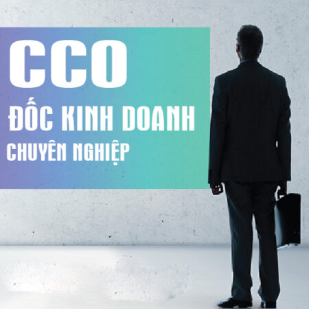 CCO - Giám Đốc Kinh Doanh Chuyên Nghiệp