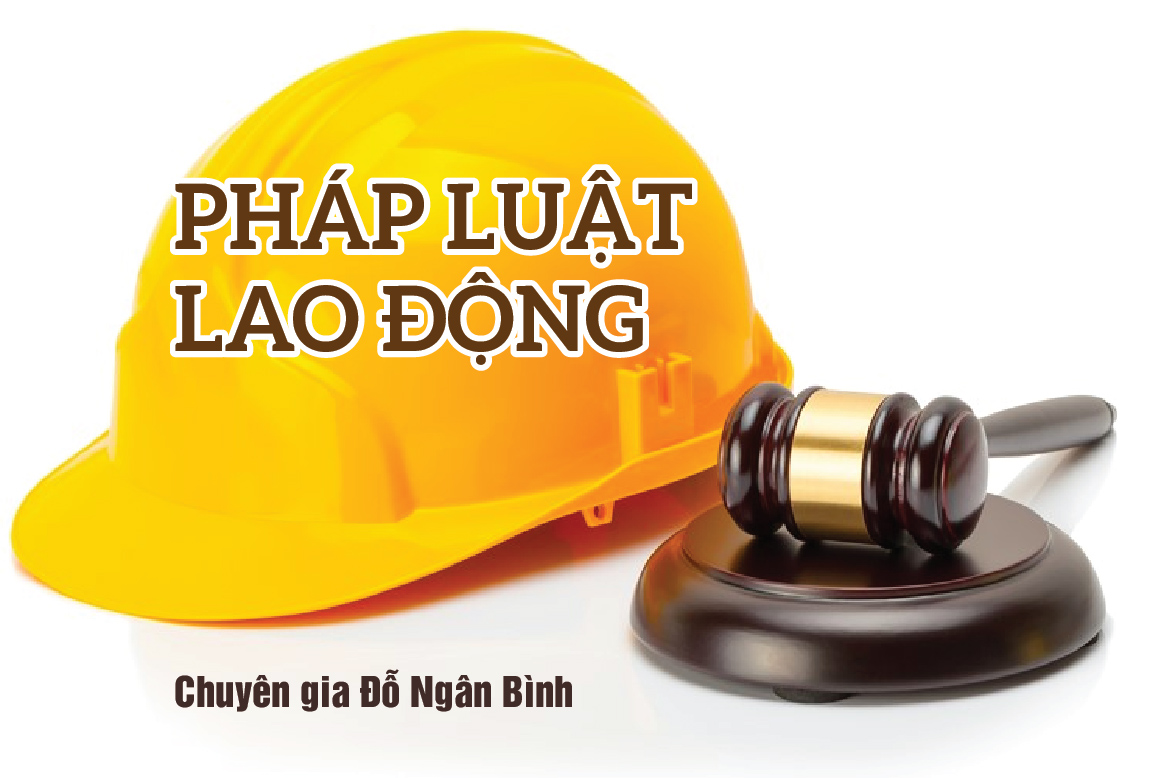 Pháp Luật Lao Động