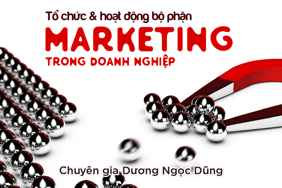 Tổ Chức & Hoạt Động Bộ Phận Marketing Trong Doanh Nghiệp - Giảng viên Dương Ngọc Dũng