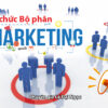 Tổ Chức Hoạt Động Bộ Phận Marketing Trong Doanh Nghiệp - Lê Đại Ngọc