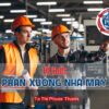 Tổ Chức Phân Xưởng Nhà Máy