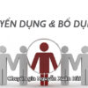 Tuyển Dụng Và Bổ Dụng