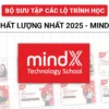 Bộ Sưu Tập Các Lộ Trình Học Chất Lượng Nhất Của MindX - NOHI