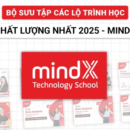 Bộ Sưu Tập Các Lộ Trình Học Chất Lượng Nhất Của MindX - NOHI