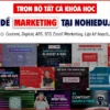 [HOT] Trọn Bộ Hơn 250+ Khóa Học Marketing Hàng Đầu Hiện Nay - NOHI