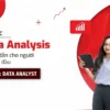 Khóa Học Data Analyst Level 3: Data Analyst Cùng MindX - NOHI