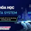 Khóa Học Data System Cùng Tomorrow Marketers x NOHI Education - NOHI
