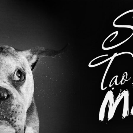 Sáng tạo "Lưu manh" (Twisted Minds)