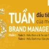 The First 6 Weeks: 6 Tuần Đầu Tiên Của Brand Manager (Phần 2) – Brand Camp - NOHI