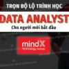 Trọn Bộ Lộ Trình Học Data Analyst Cho Người Mới Bắt Đầu - MindX - NOHI