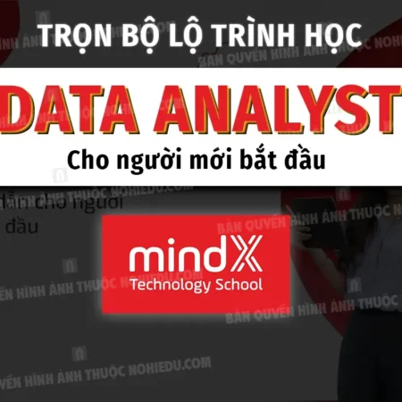 Trọn Bộ Lộ Trình Học Data Analyst Cho Người Mới Bắt Đầu - MindX - NOHI