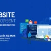 Website Development: Từ Hoạch Định Đến Thực Thi - Brand Camp - NOHI